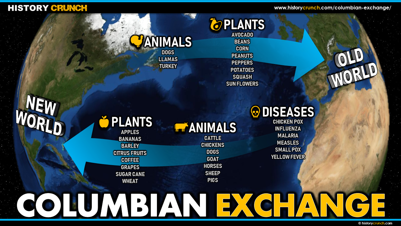 columbian exchange mapping activity answer key